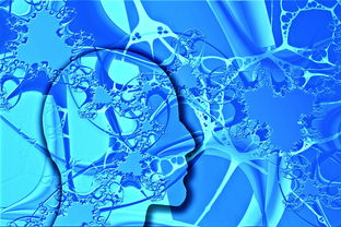 乐鱼体育官网注册-中国足球联赛市场营销策略创新升级,中国足球市场化现状